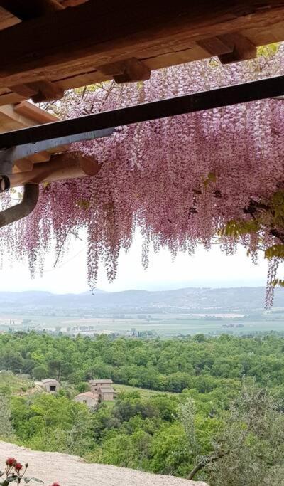Vesper - Casale Con Piscina - Ad Galli Cantum Città della Pieve Esterno foto