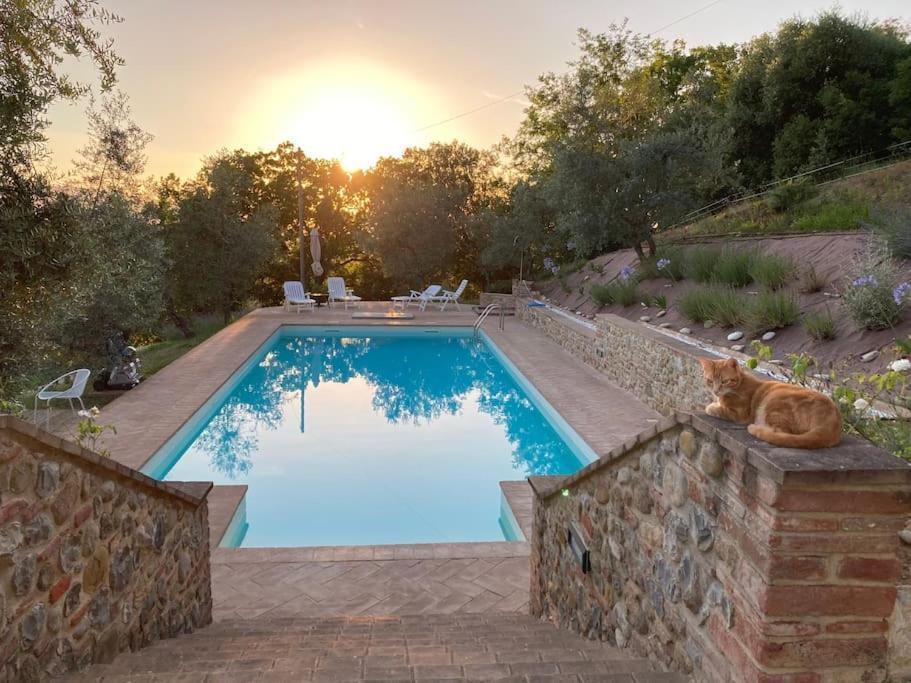 Vesper - Casale Con Piscina - Ad Galli Cantum Città della Pieve Esterno foto