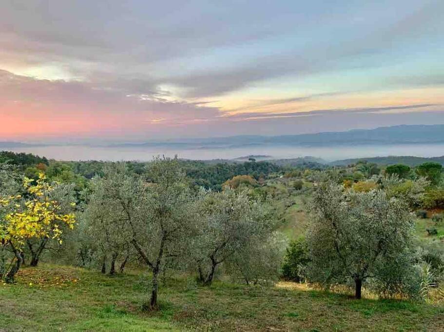 Vesper - Casale Con Piscina - Ad Galli Cantum Città della Pieve Esterno foto