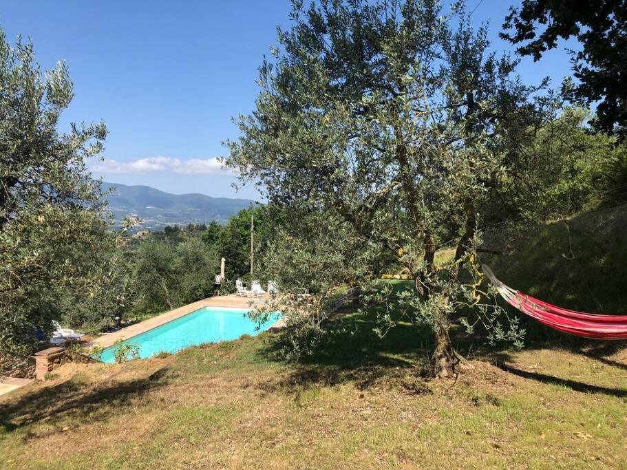 Vesper - Casale Con Piscina - Ad Galli Cantum Città della Pieve Esterno foto